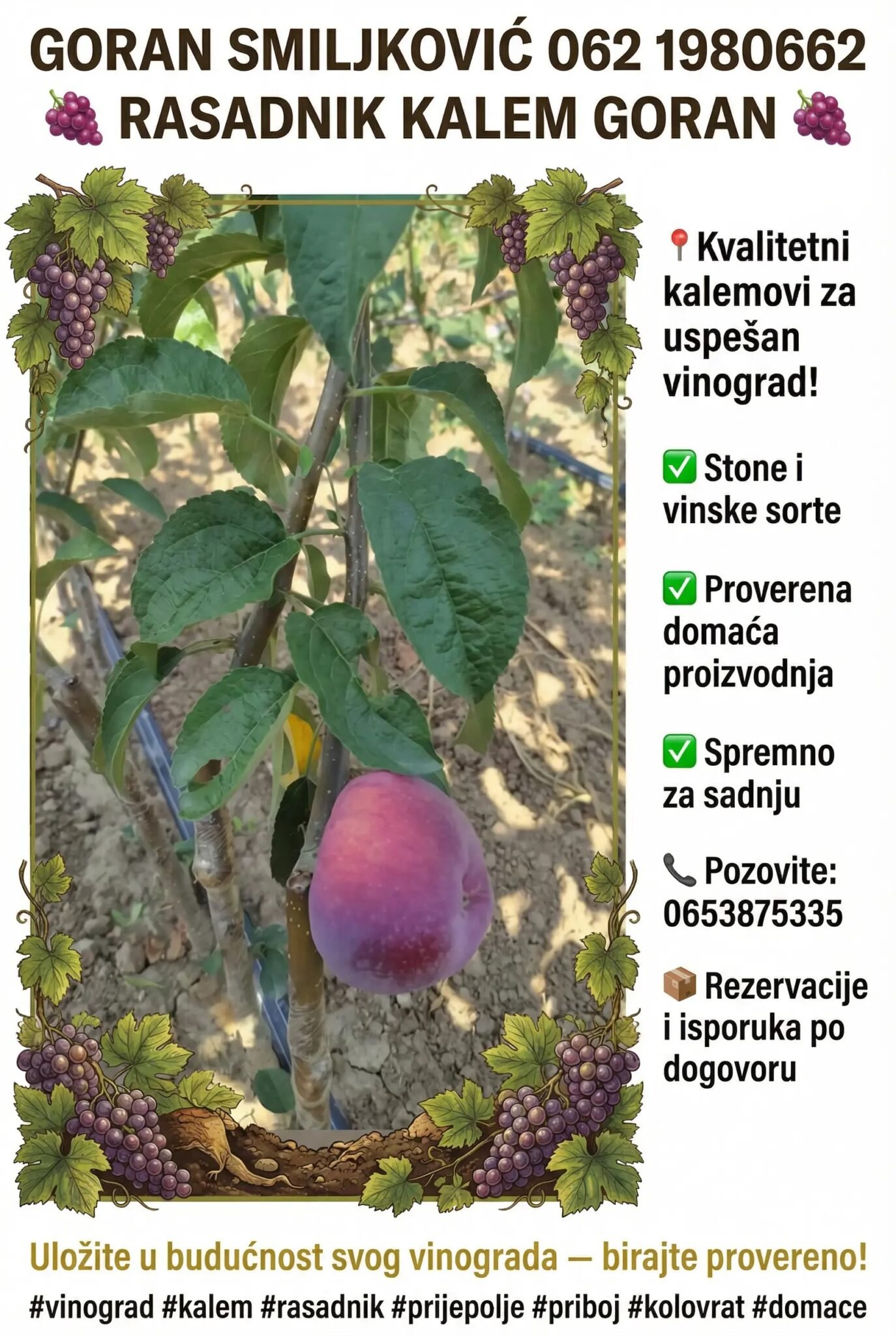 klijenti rasadnik kalem goran (7)
