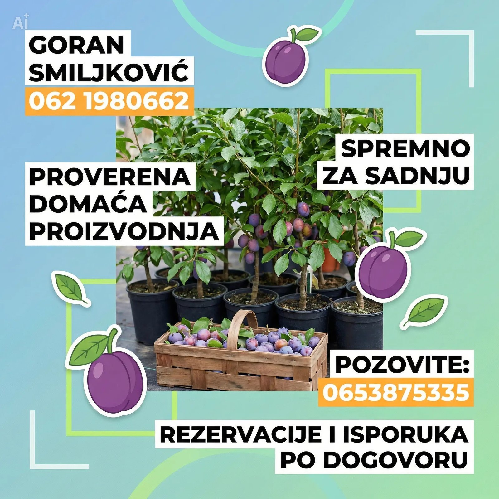 klijenti sadnice Šljive (2)