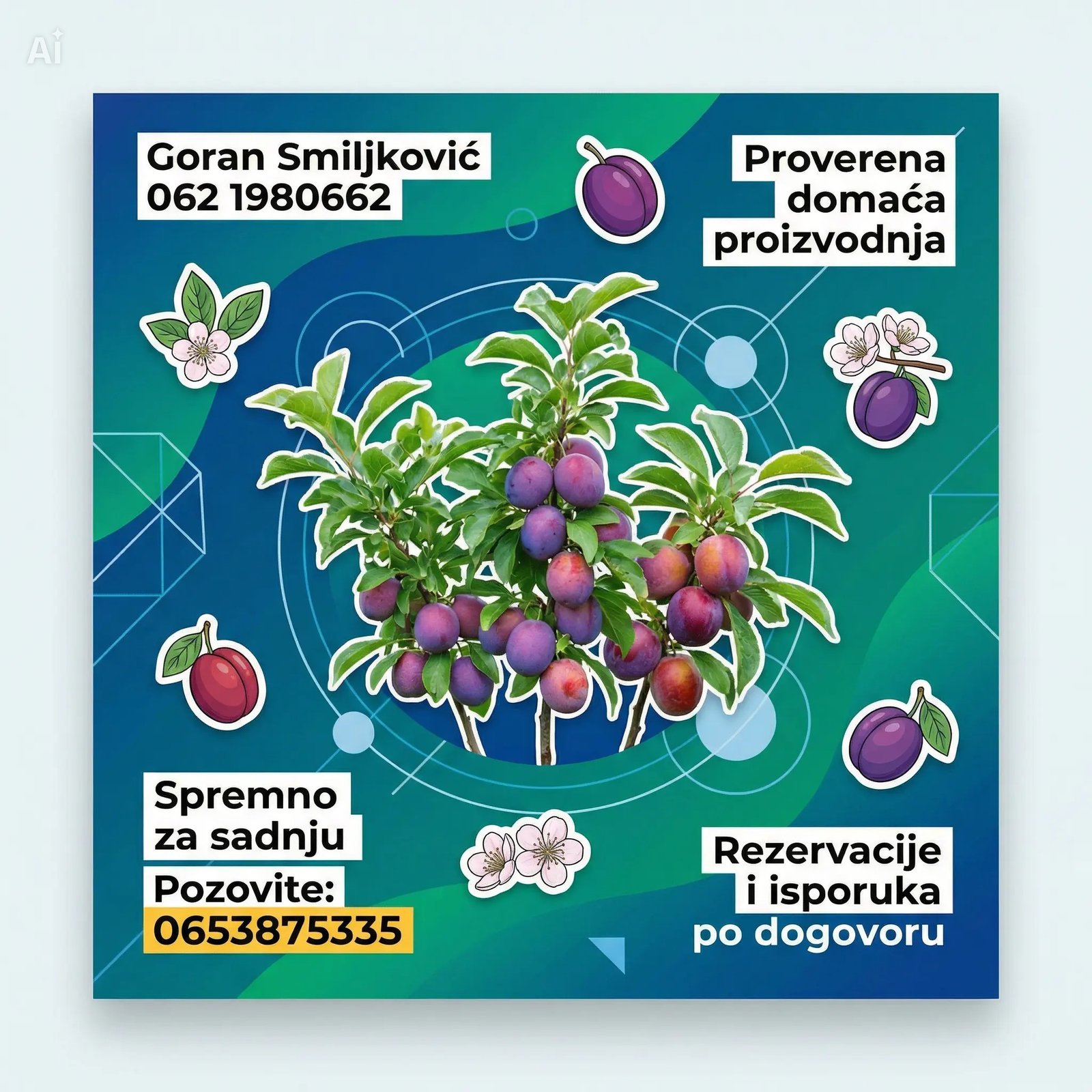 klijenti sadnice Šljive (3)