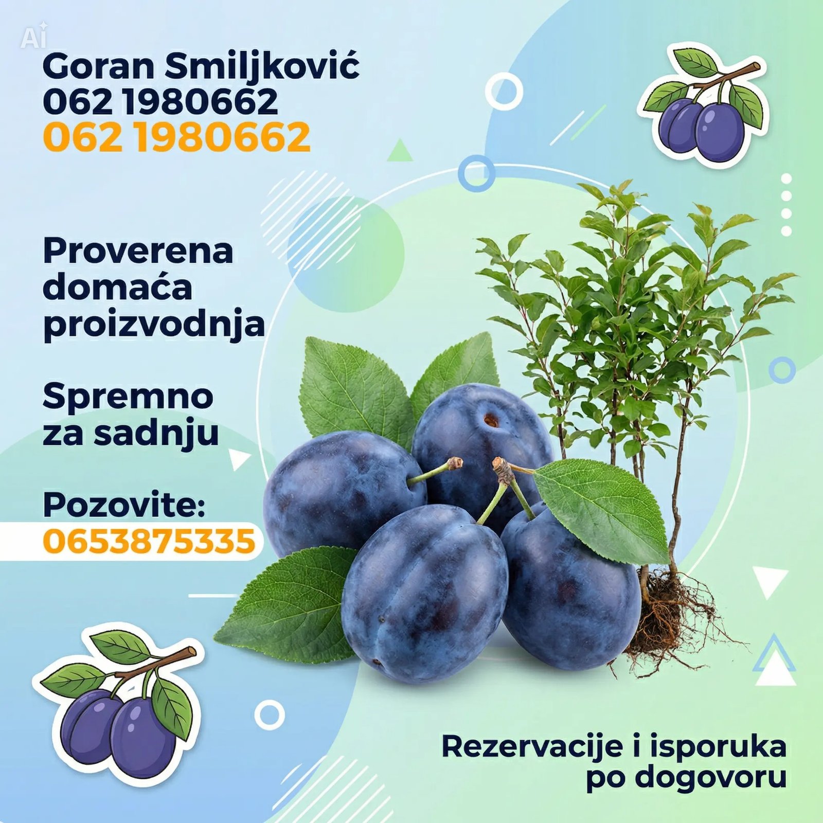 klijenti sadnice Šljive (4)