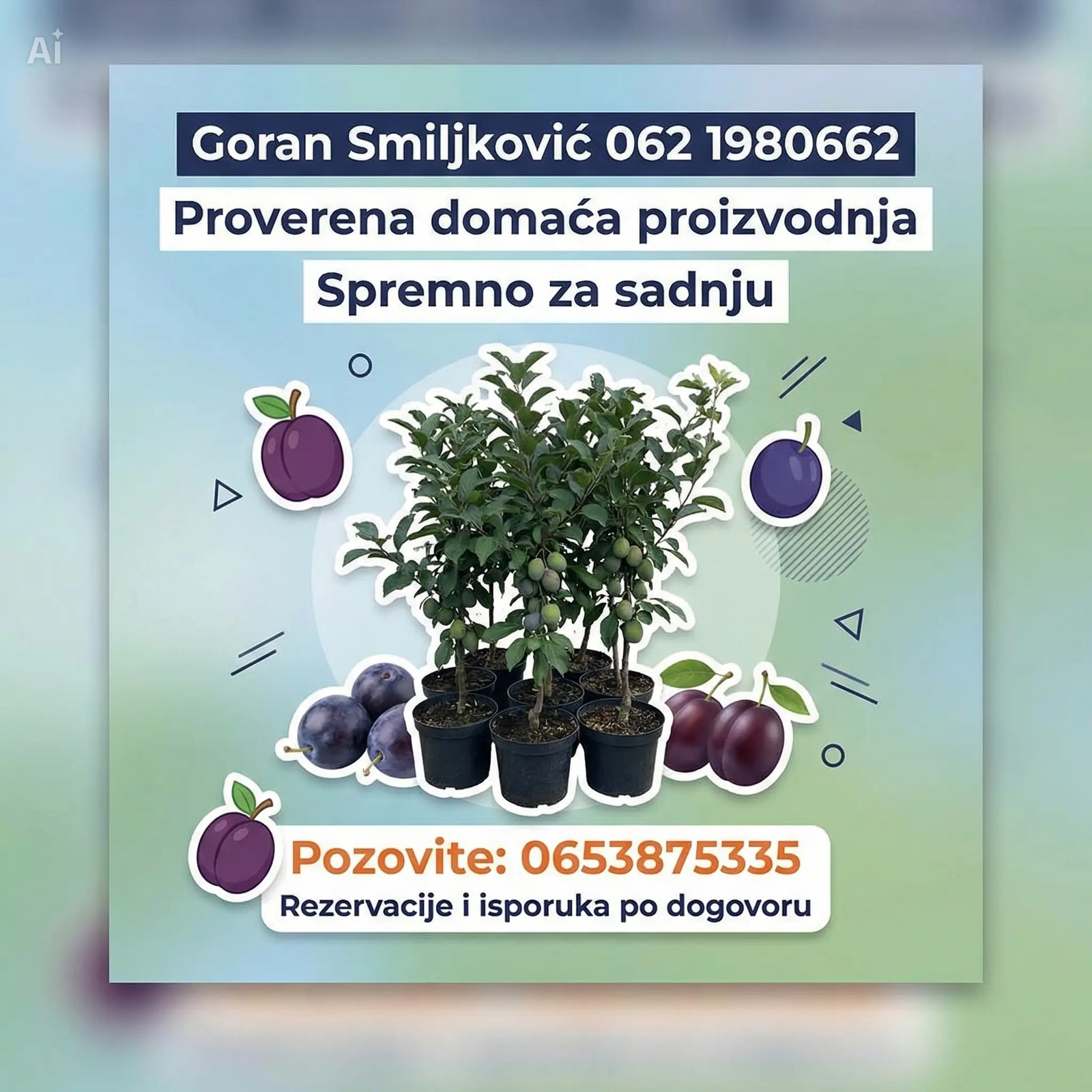 klijenti sadnice Šljive (6)