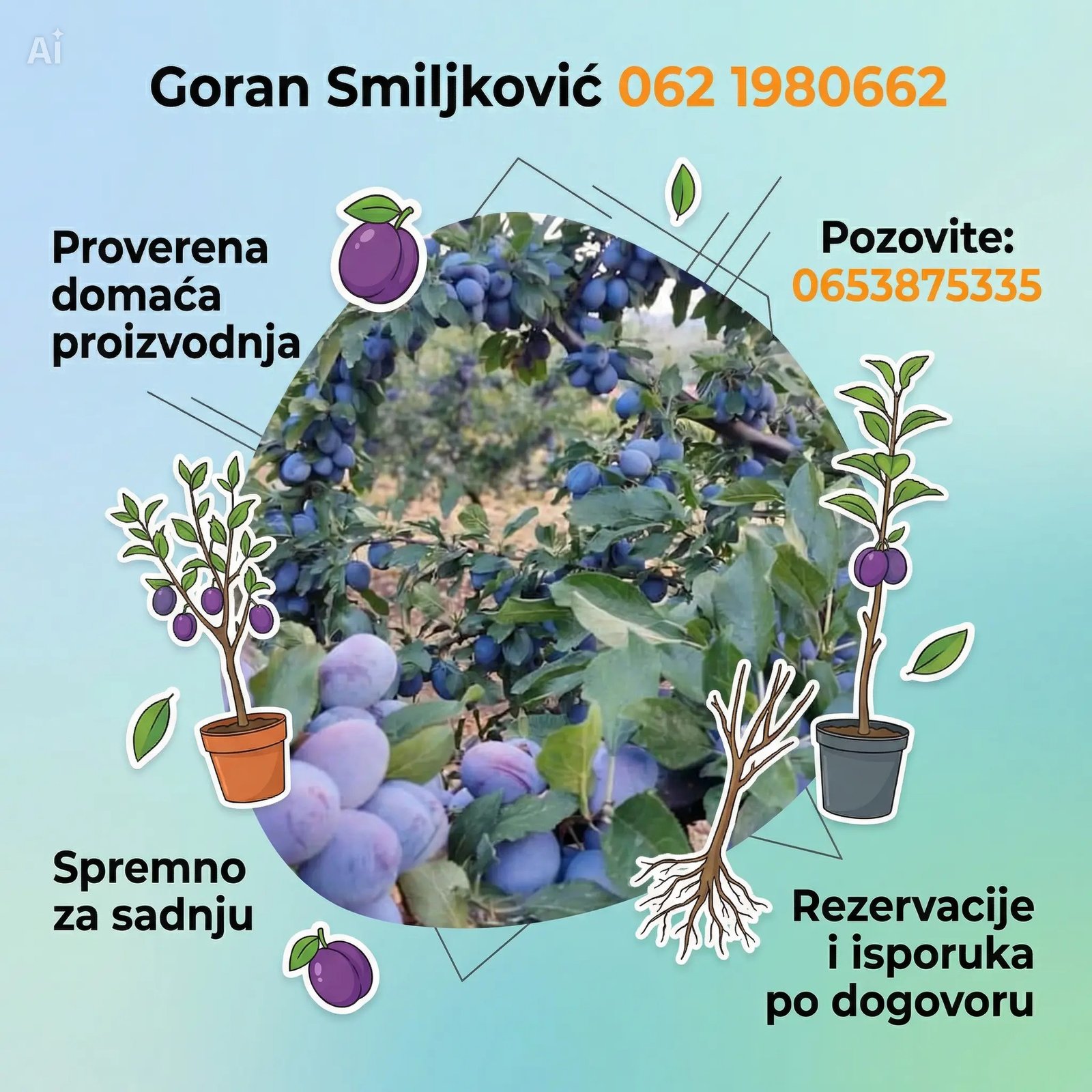 klijenti sadnice Šljive (8)
