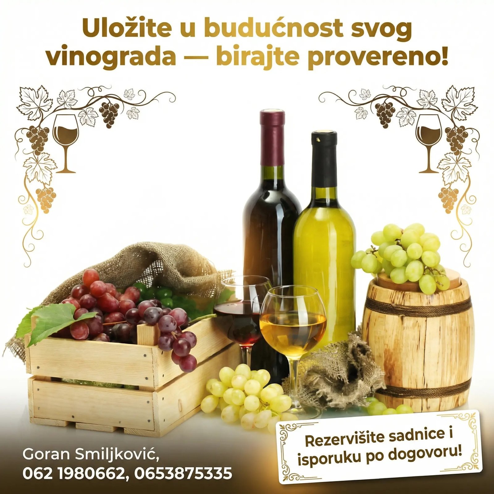 klijenti sadnice loze (2)